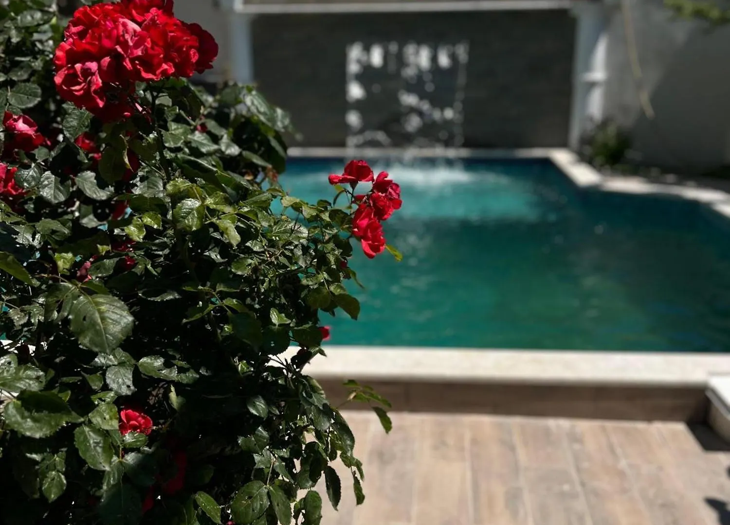 Kwatera prywatna Ilirida-Swimming Pool & Garden View Rooms For Rent Durrës Albania